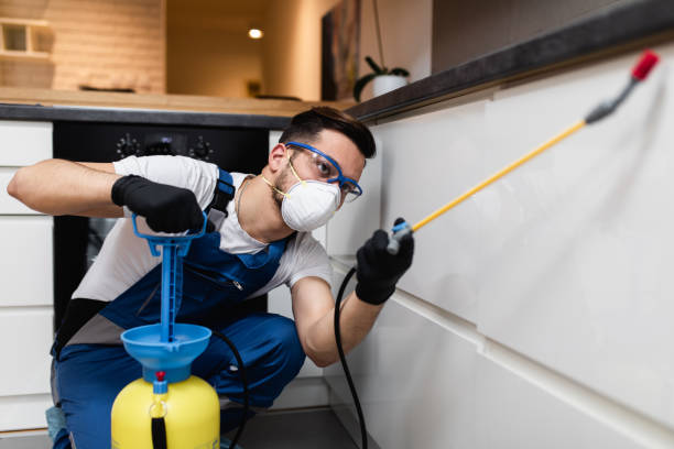 Best Affordable Pest Control Services  in Bass Lake, IN