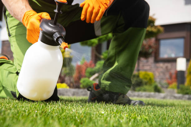 Best Best Pest Control Companies  in Bass Lake, IN