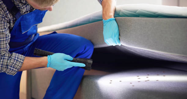 Best Pest Removal Services  in Bass Lake, IN