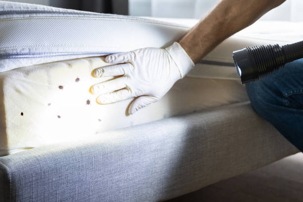 Best Residential Pest Control  in Bass Lake, IN
